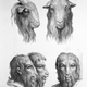 Illustration for article titled Baroque-Era Drawings Reveal Early Ideas About Evolution